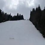 Finish Line *