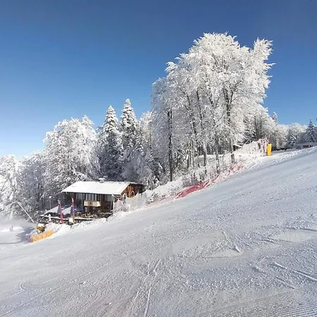 ヴィラ Finish Line ボロヴェッツ