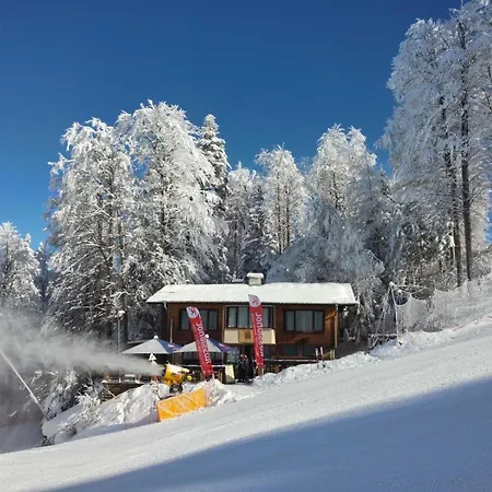 ヴィラ Finish Line