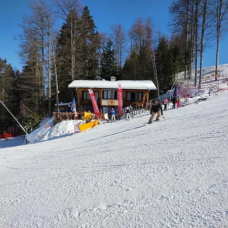 Finish Line ヴィラ ボロヴェッツ