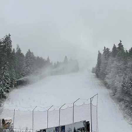 Vilă Finish Line Boroveț