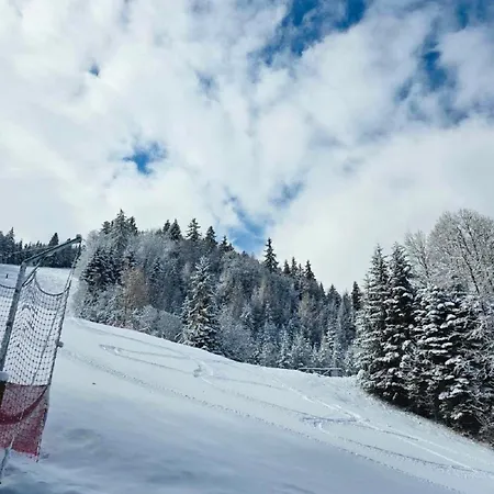 Finish Line Vilă