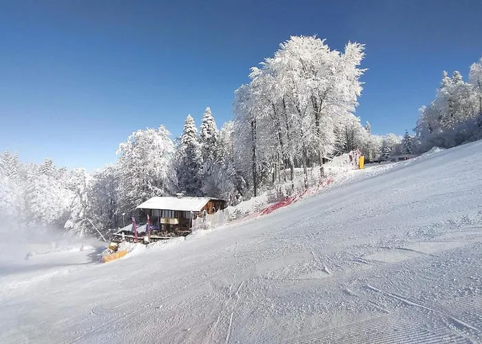 ヴィラ Finish Line ボロヴェッツ