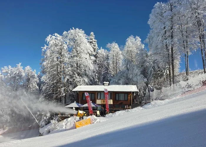 ヴィラ Finish Line