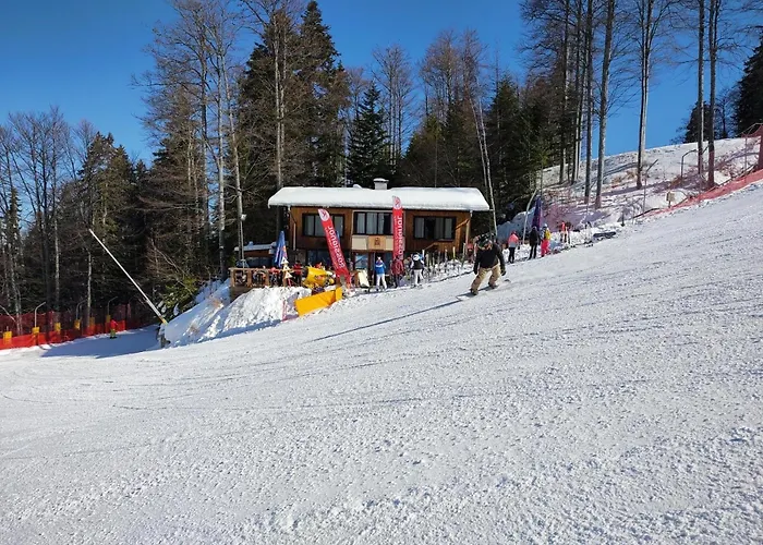 Finish Line ヴィラ ボロヴェッツ