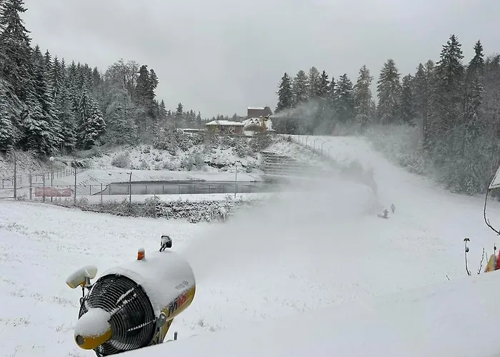 ヴィラ Finish Line