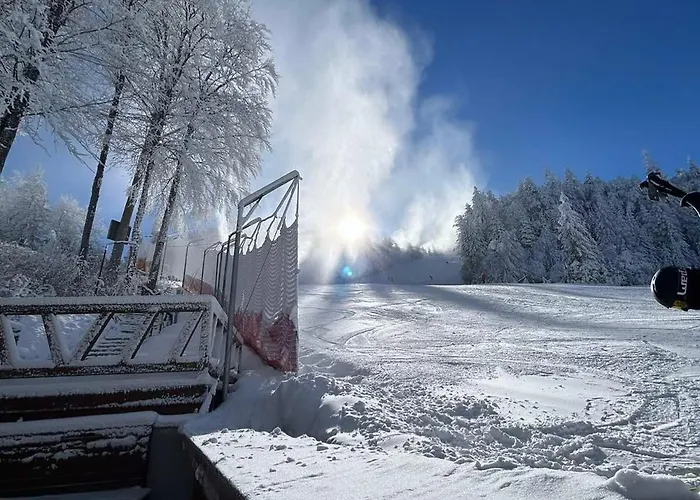 Finish Line ボロヴェッツ