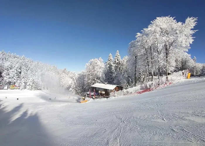 Finish Line * ボロヴェッツ