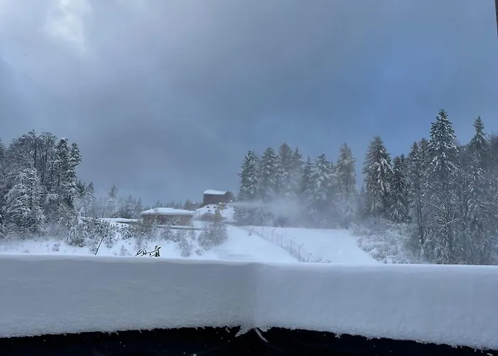 ヴィラ Finish Line