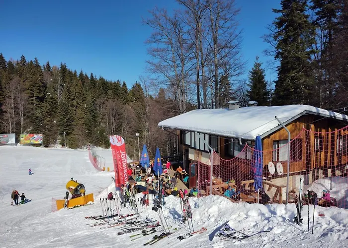 Finish Line ヴィラ *